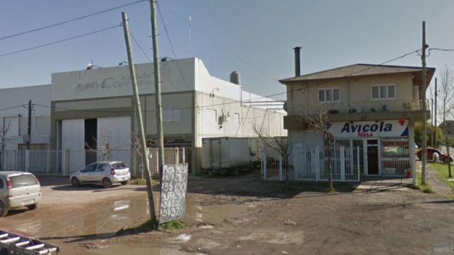 ladrones entraron a robar a un negocio avicola de tolosa y causaron serios destrozos