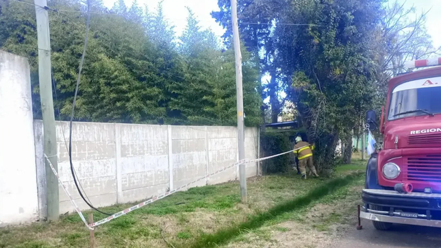 un cable electrico cayo sobre un arbol y desato un incendio en arturo segui