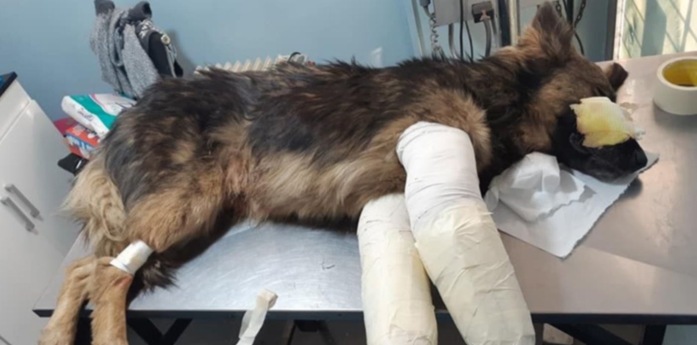 1597700818060.jpg?x=6&y=21&width=954&height=477&rotate=0&scaleX=1&scaleY=1&ow=960&oh=720&&cw=1920&ch=950