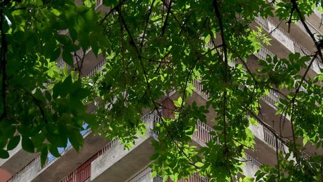 Casi el 40% de las familias del AMBA pidió préstamos para poder pagar gastos cotidianos Casi el 40% de las familias del AMBA pidió préstamos para poder pagar gastos cotidianos