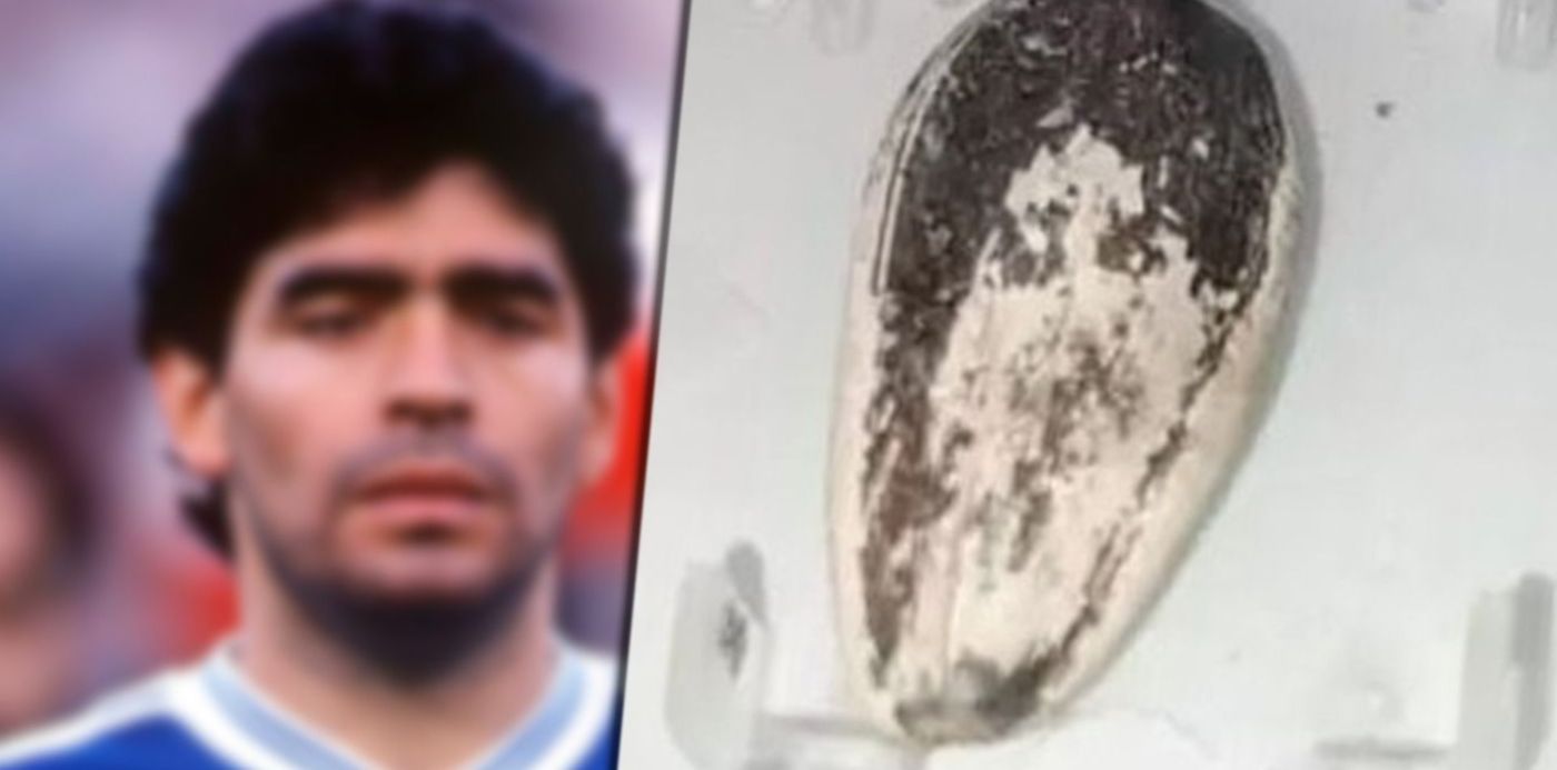 diego maradona - semillita