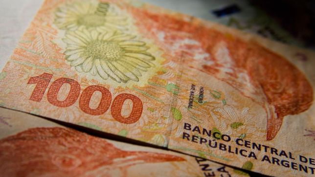 la afip devolvera $1.345 millones a monotributistas y autonomos: ¿a quienes y por que?