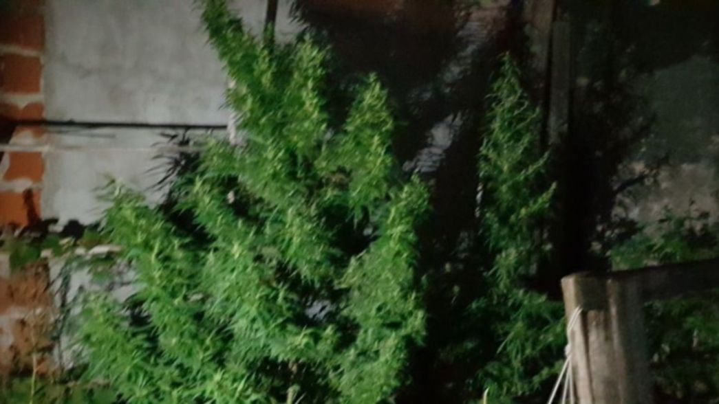 Jeringas, cocaína y marihuana: murió de sobredosis en la cocina de su casa
