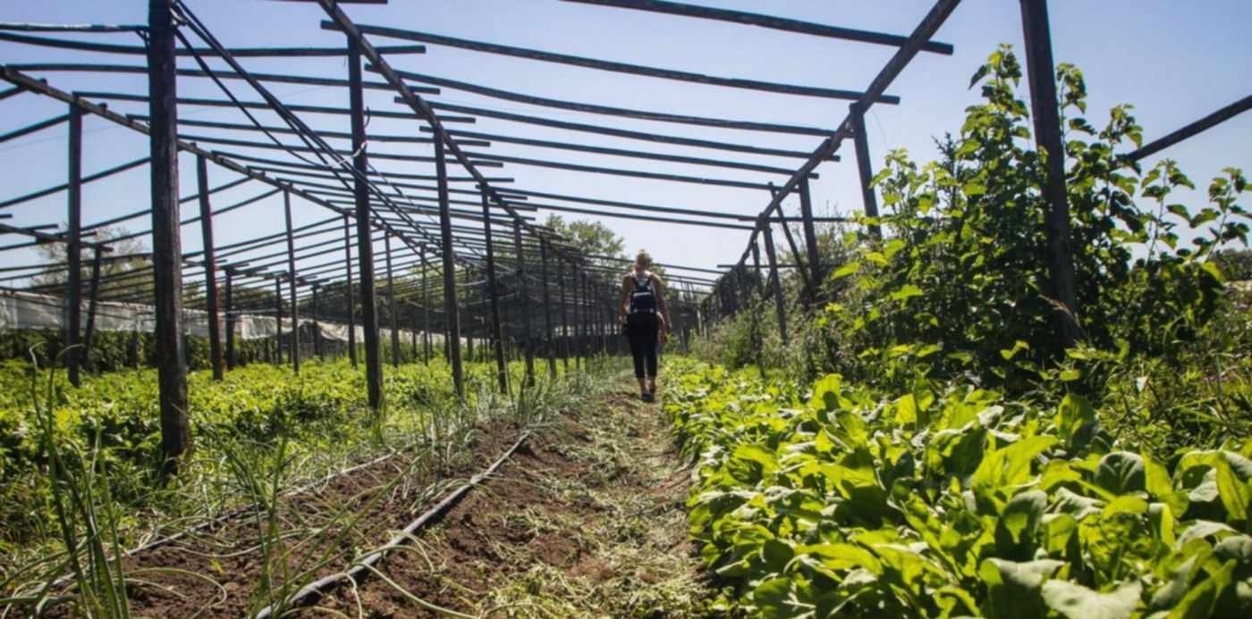 1652200531457.jpg?&cw=1920&ch=950