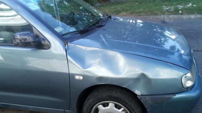 barrio hipodromo: un caballo se escapo de un stud y casi provoca una tragedia