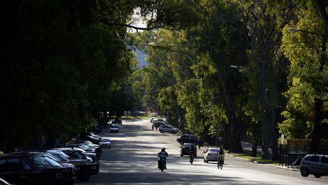 Un joven fue asaltado y abusado por dos ladrones en medio de un feroz ataque en el Paseo del Bosque Un joven fue asaltado y abusado por dos ladrones en medio de un feroz ataque en el Paseo del Bosque