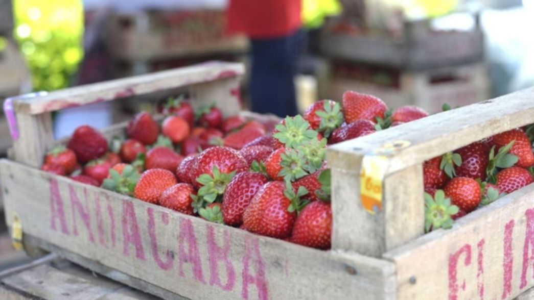 Volvieron los verdurazos con precios populares a La Plata