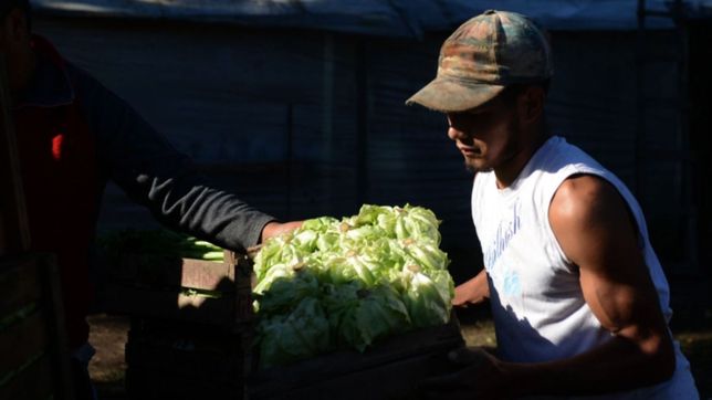 forcejeos, tiros y terror en un violento asalto a una familia de productores de la plata