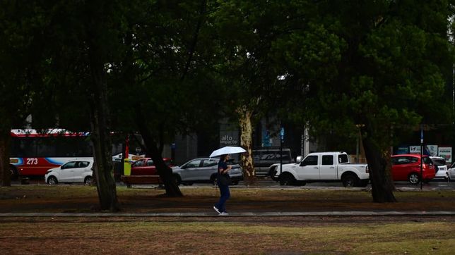 la semana corta empieza en la plata con un lunes gris, humedo y con probabilidades de lluvias
