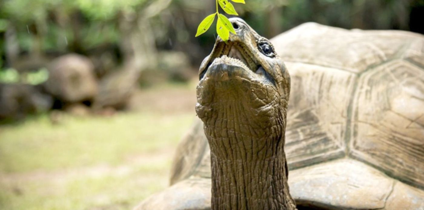 1580660382234.jpg?y=136&scaleY=1&oh=768&ow=1151&x=2&width=1144&height=572&rotate=0&scaleX=1&&cw=1920&ch=950