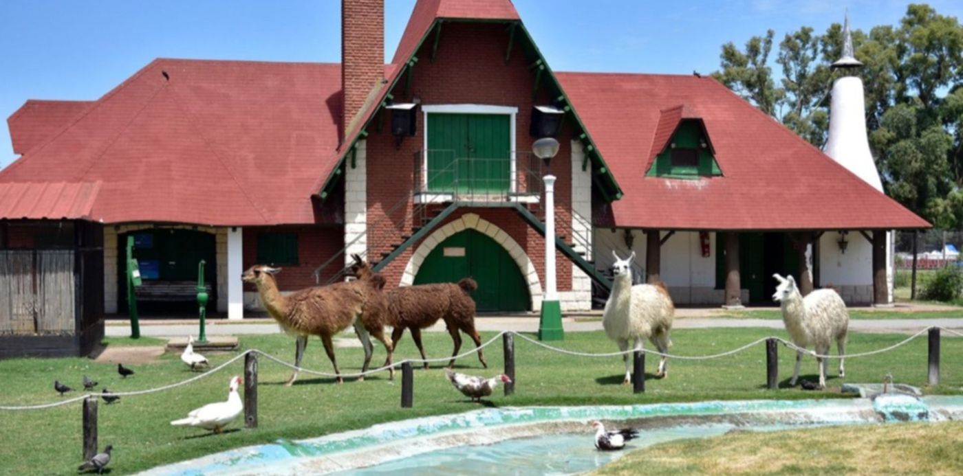 1549220715693.jpeg?rotate=0&scaleX=1&oh=853&x= 3&y=37&height=639&width=1277&scaleY=1&ow=1280&&cw=1920&ch=950