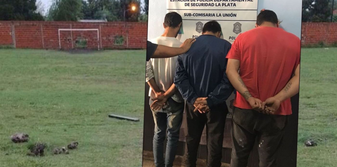 1647039859221.jpg?x=19&y=7&width=1479&height=740&rotate=0&scaleX=1&scaleY=1&ow=1500&oh=870&&cw=1920&ch=950