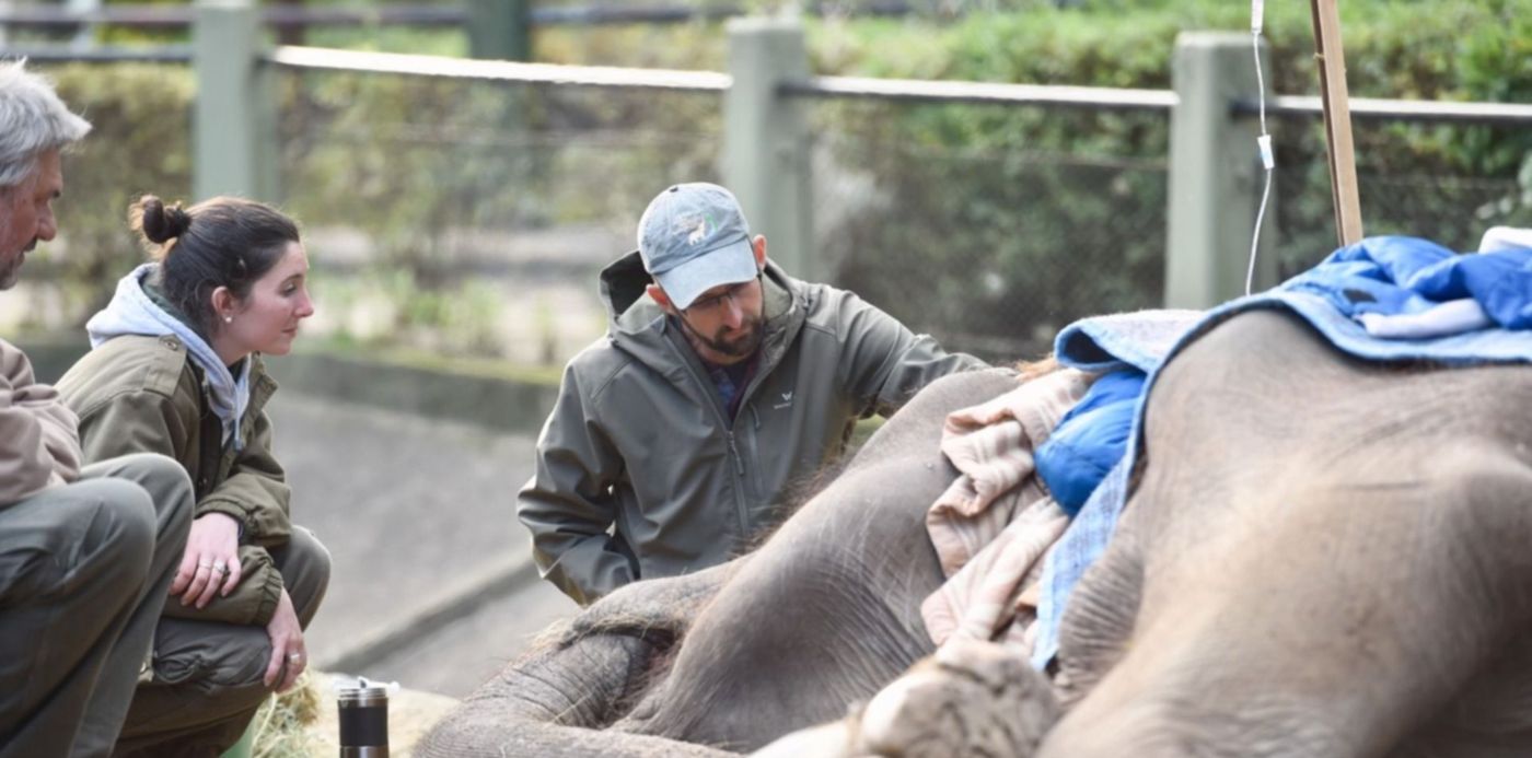 1528109324514.jpg?&cw=1920&ch=950