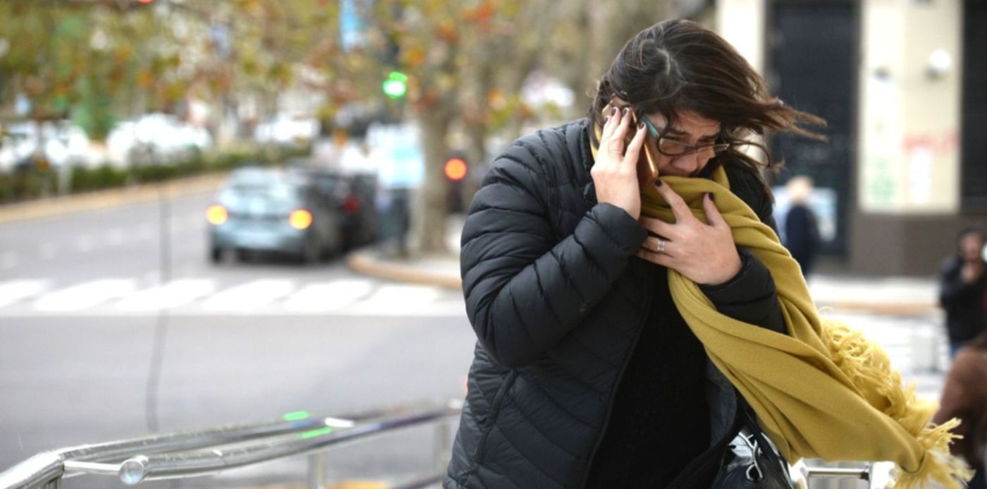 1577207282238.jpg?x=13&y=140&width=1481&height=740&rotate=0&scaleX=1&scaleY=1&ow=1500&oh=936&&cw=1920&ch=950