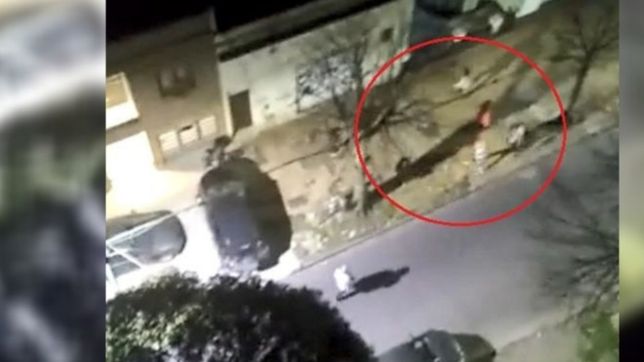 video: piedrazos, peleas y corridas en un tenso enfrentamiento en la zona roja de la plata