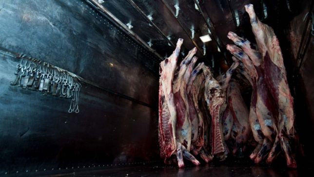 renuevan el programa precios justos para la carne: ¿cuanto sale un kilo de asado?