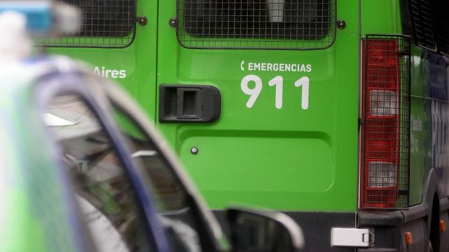crei que era carne picada: llego a su casa y vio como sus perros se comian a un bebe