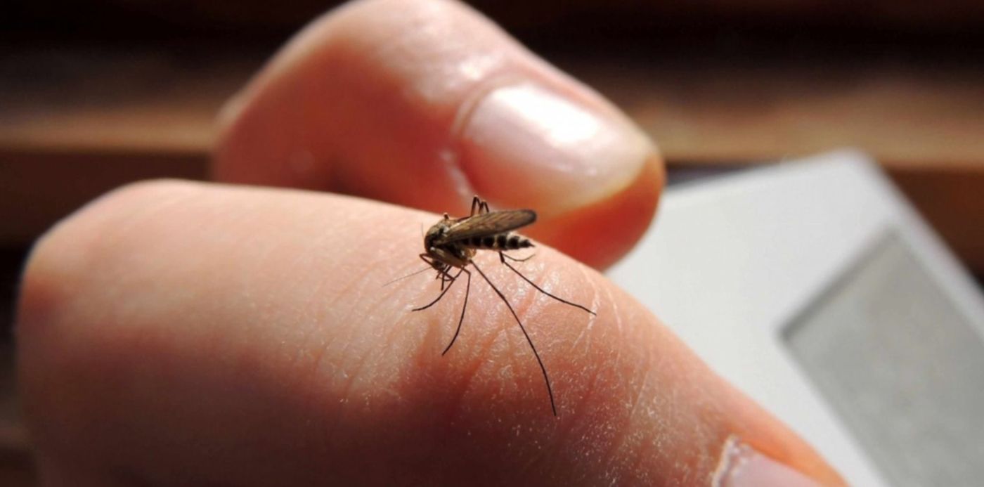 1582765964814.jpg?ow=1500&oh=843&x=4&width=1492&height=746&rotate=0&scaleY=1&y=9&scaleX=1&&cw=1920&ch=950