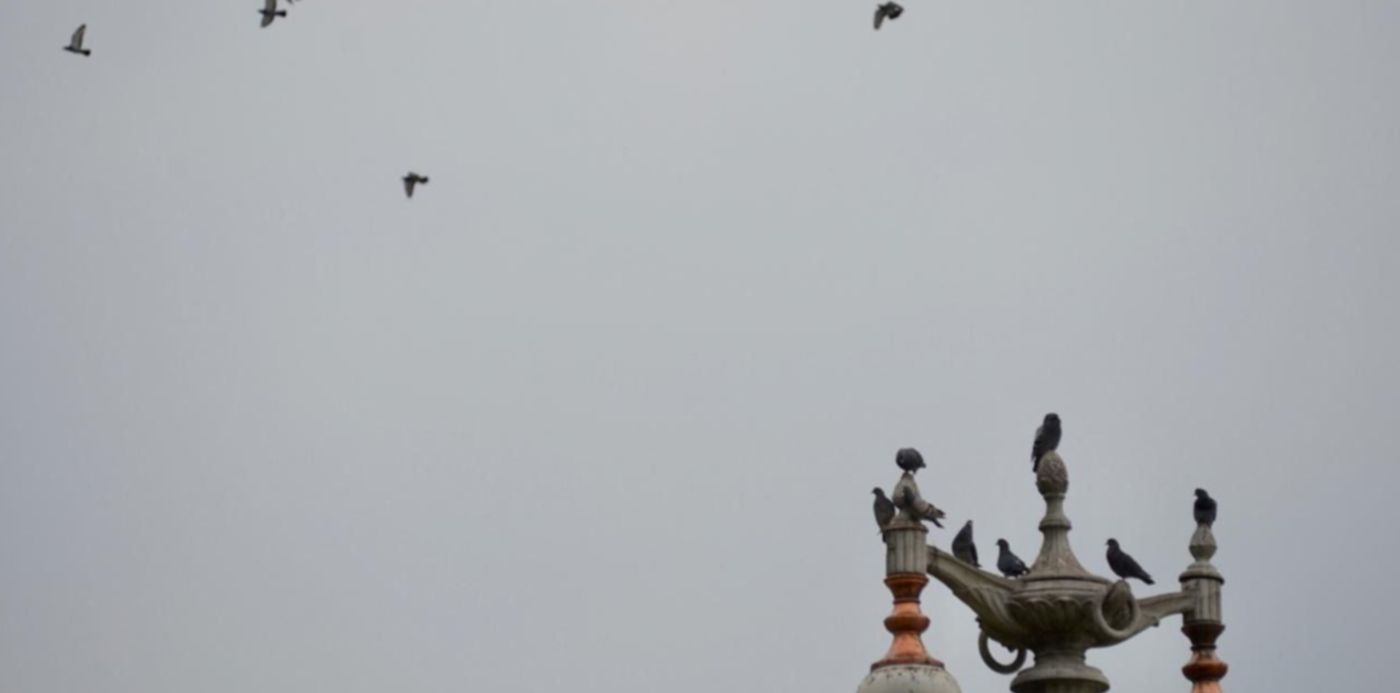 1598369674812.jpeg?x=12&y=75&width=1268&height=634&rotate=0&scaleX=1&scaleY=1&ow=1280&oh=850&&cw=1920&ch=950