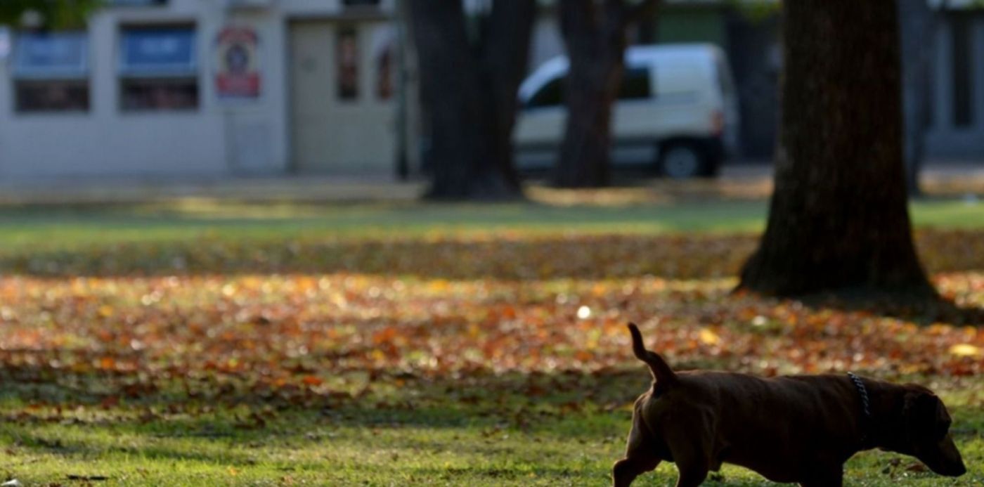 1555153857778.jpeg?&cw=1920&ch=950