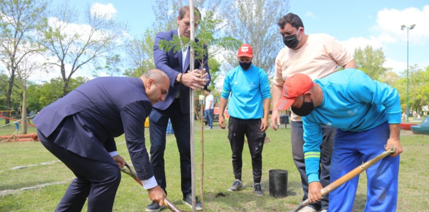 Plantación de árboles -Gonnet - Julio Garro