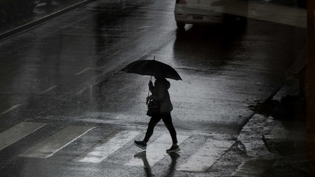 la formacion de una nueva ciclogenesis impactaria en la plata con tormentas y fuertes rafagas de viento