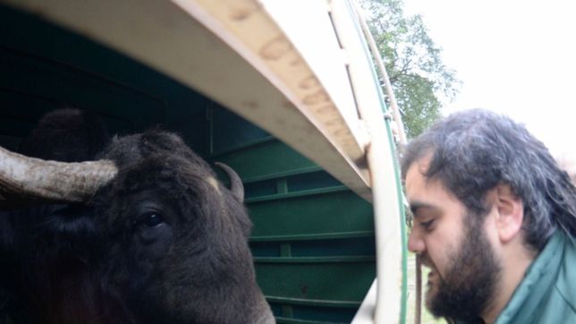 la palabra del cuidador del yak chicho: es un animal muy inteligente, era emocionante estar con el