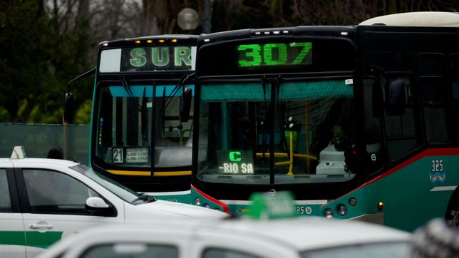 ¿a cuanto se iran los boletos de los micros en la plata y la region tras el aumento extraordinario del 14,8%?