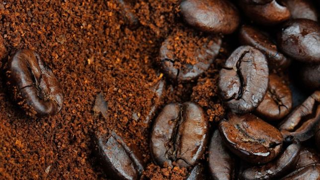 la plata celebra el dia internacional del cafe con un evento especial