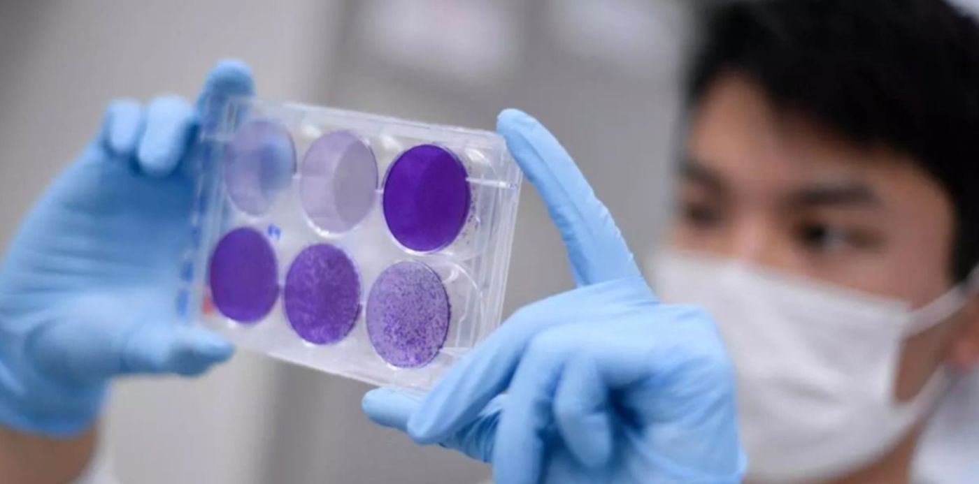 1588688867575.jpg?x=12&y=1&width=1225&height=612&rotate=0&scaleX=1&scaleY=1&ow=1240&oh=698&&cw=1920&ch=950