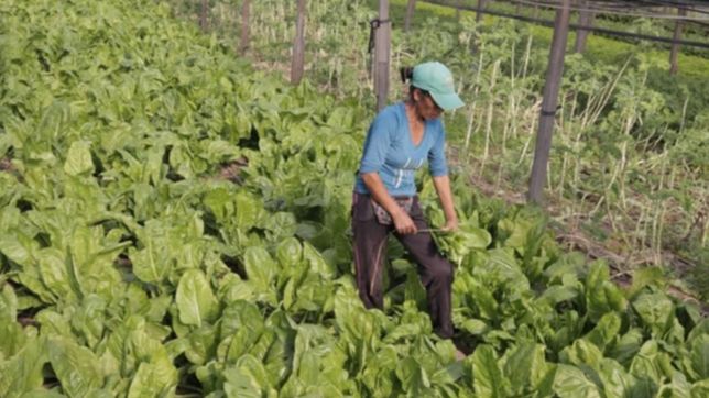 provincia condono deudas tributarias a 27.300 monotributistas sociales