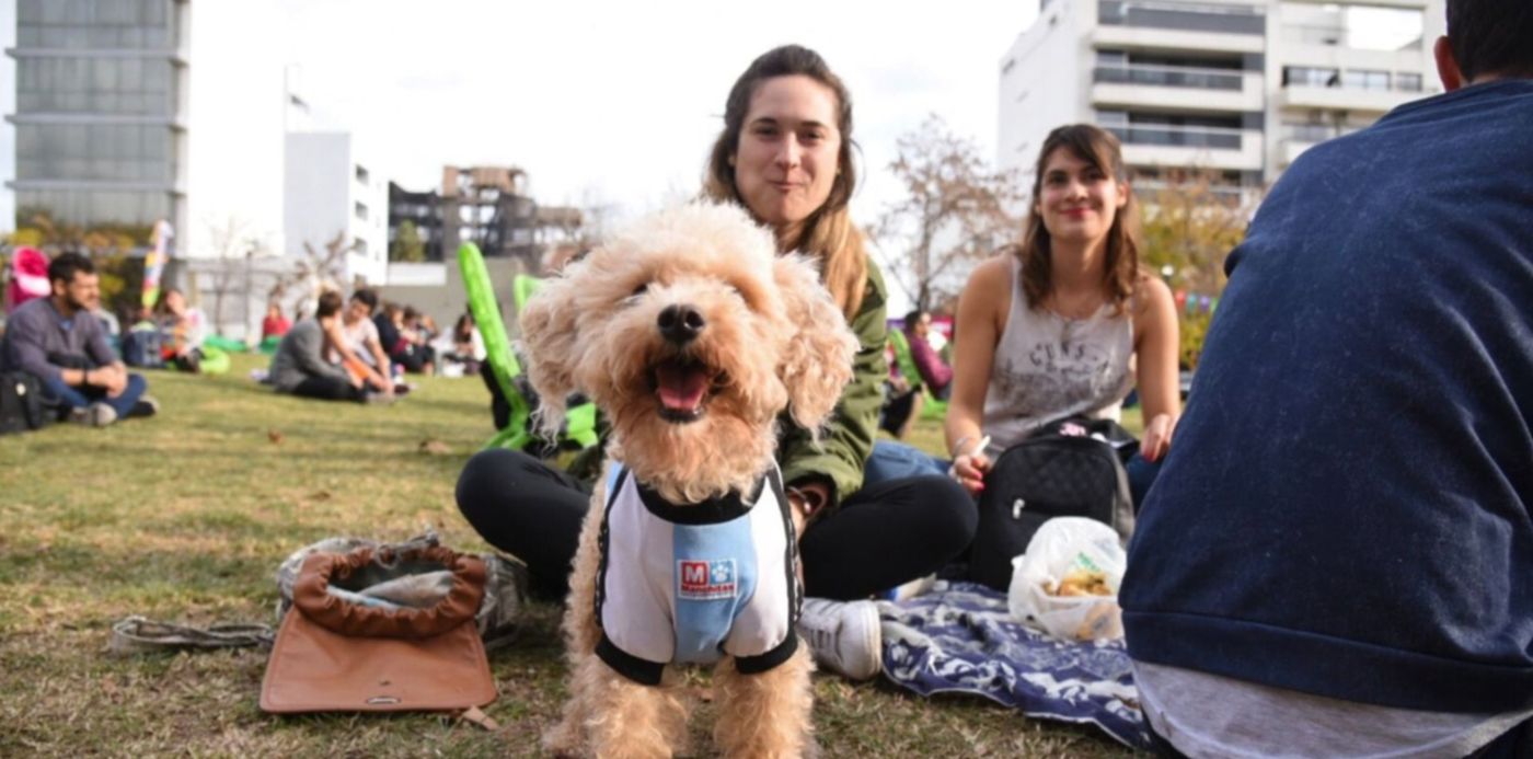 1671121548453.jpg?x=20&y=90&width=1467&height=733&rotate=0&scaleX=1&scaleY=1&ow=1500&oh=1000&&cw=1920&ch=950