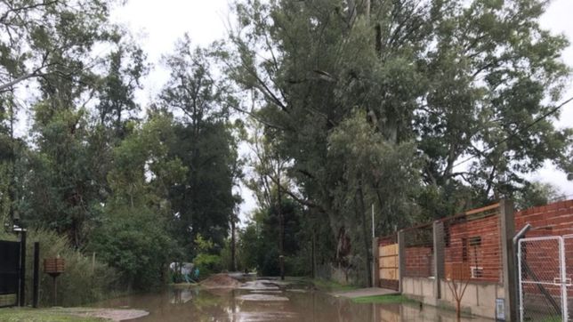 vecinos de el rincon se organizan tras la tormenta