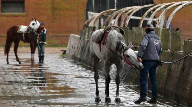 garro veto la creacion de un circuito turistico hipico que habia aprobado el concejo