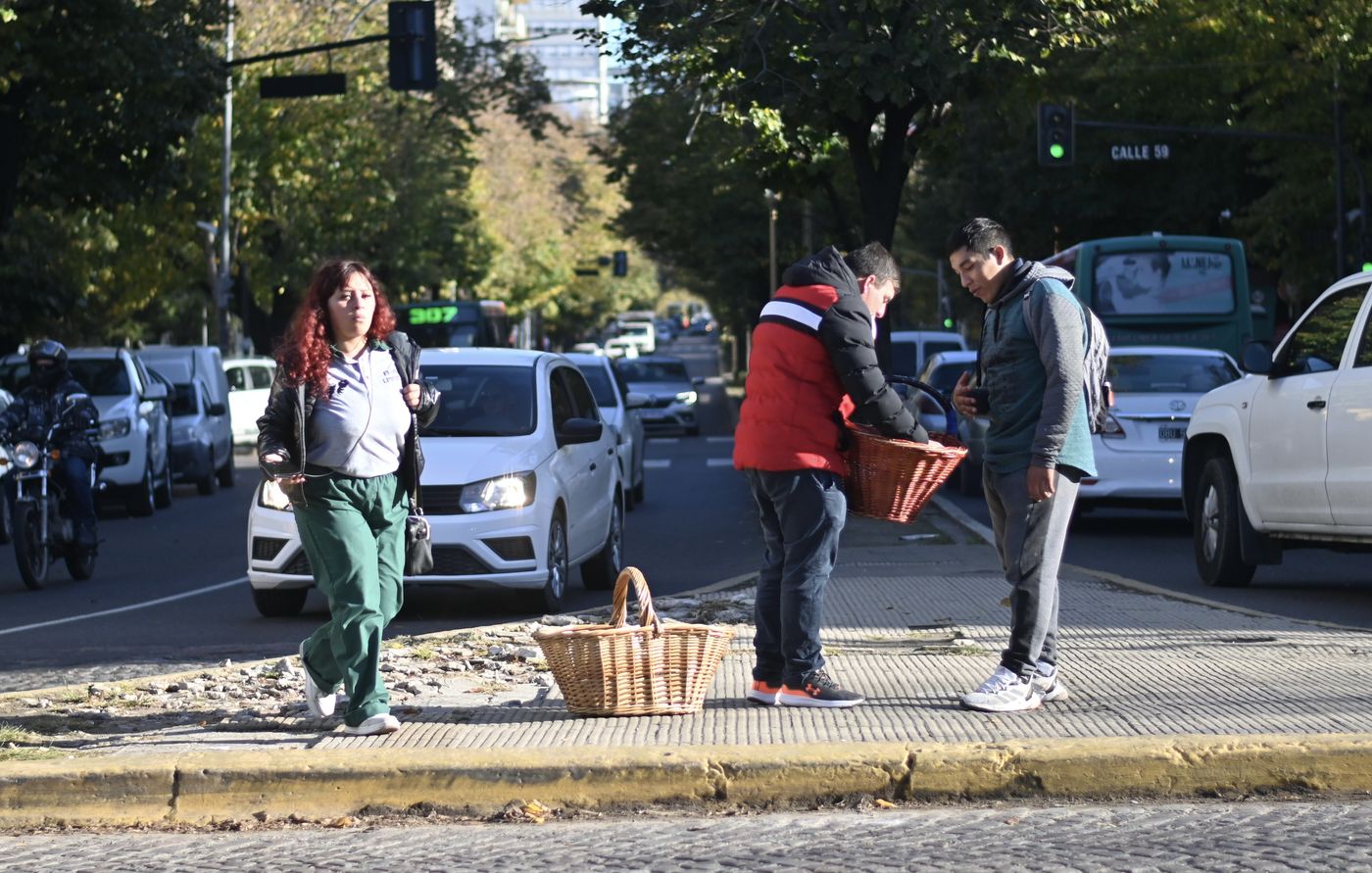 Vida diaria Vendedor ambulante.jpg