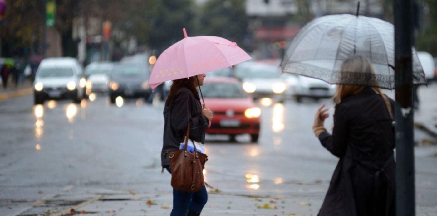 1560606388788.jpg?scaleX=1&height=742&rotate=0&scaleY=1&ow=1500&oh=1013&x=8&y=44&width=1484&&cw=1920&ch=950