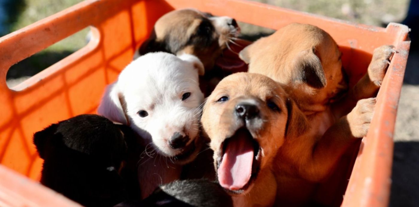 1627052252678.jpg?x=7&y=113&width=1486&height=743&rotate=0&scaleX=1&scaleY=1&ow=1500&oh=998&&cw=1920&ch=950