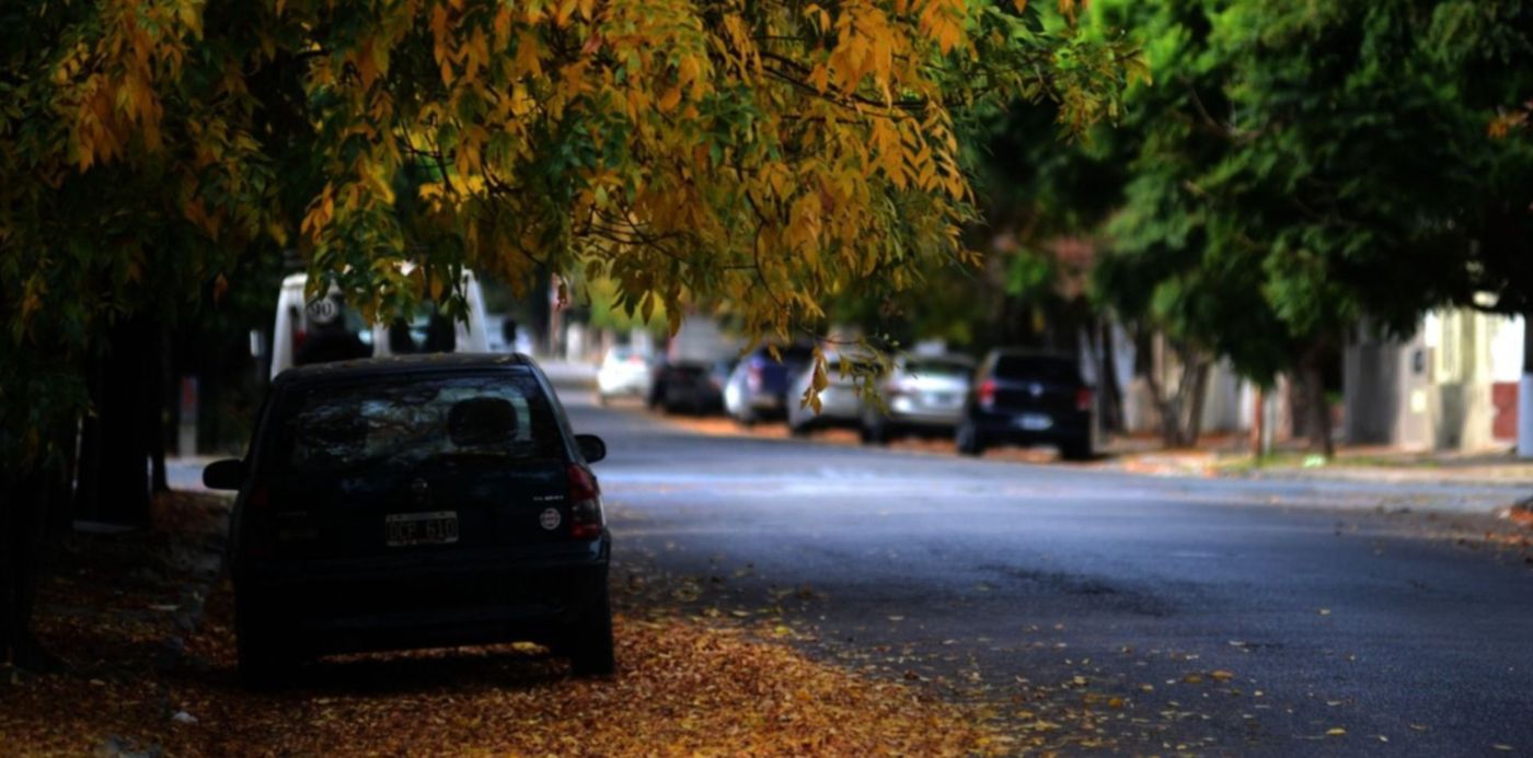 1587694278756.jpg?width=1443&rotate=0&scaleX=1&scaleY=1&ow=1500&x=23&y=223&height=721&oh=1121&&cw=1920&ch=950