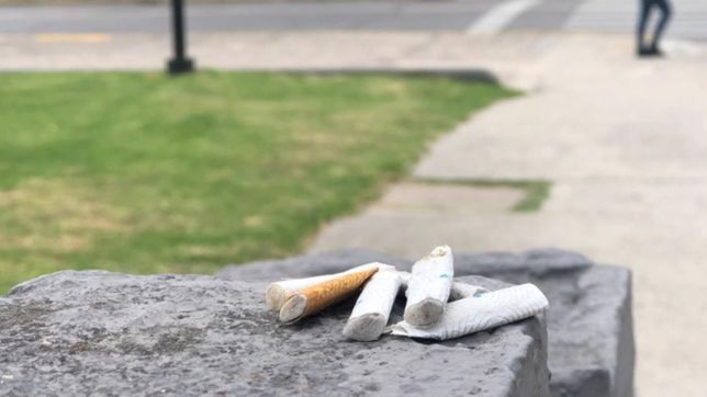 presentan un proyecto para multar a quien tire colillas de cigarrillo en la calle