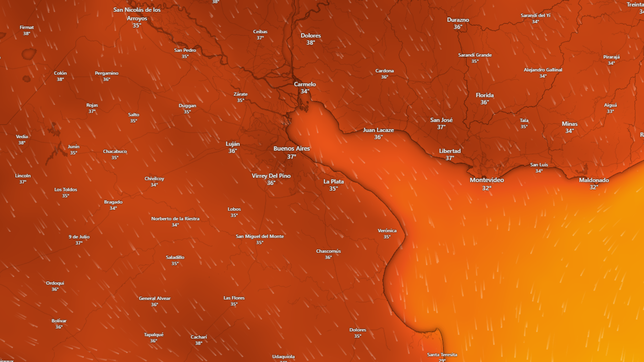 lunes ardiente: hora por hora, ¿como estara el clima en la plata en el inicio de la semana?