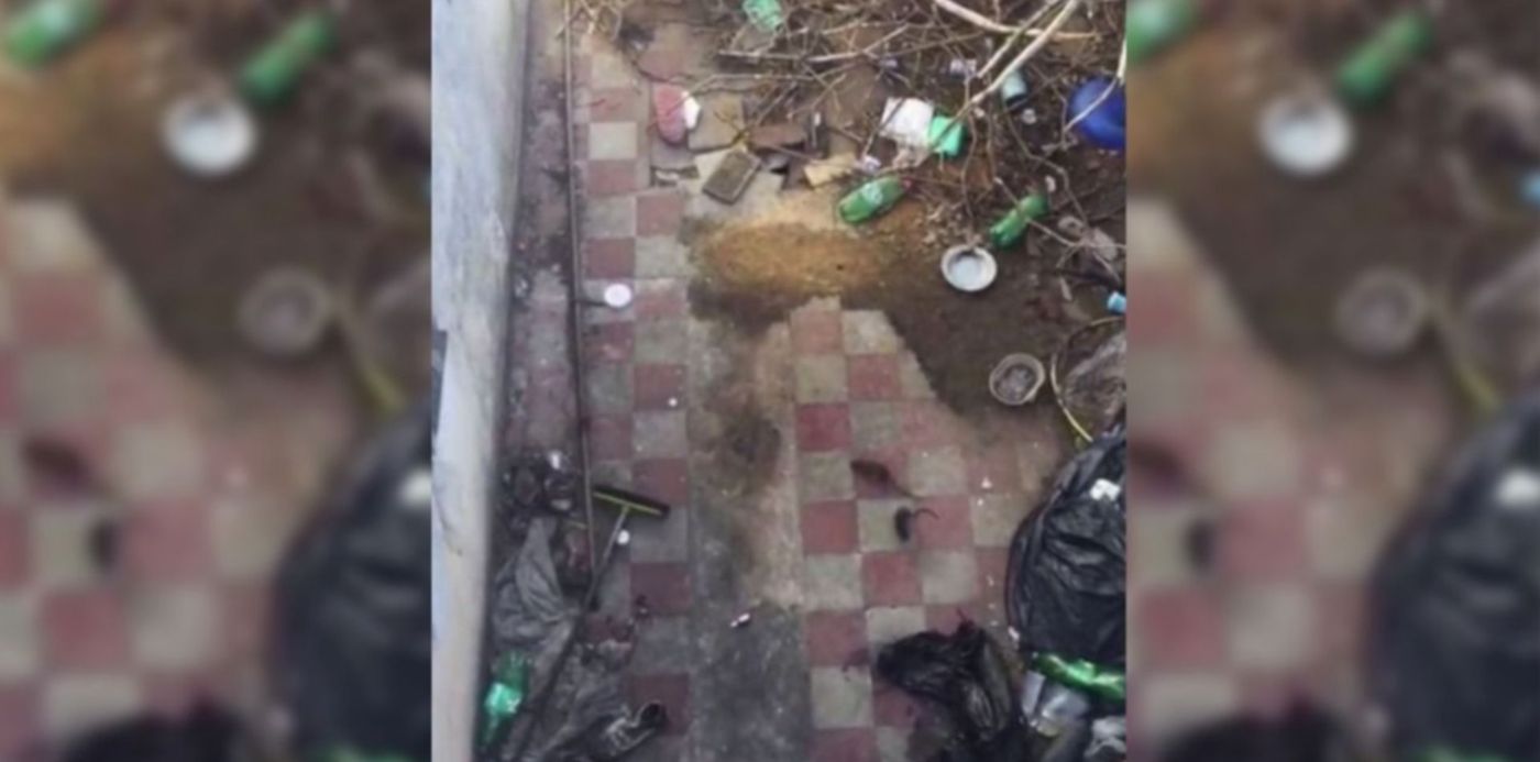 1547477753884.jpeg?rotate=0&scaleX=1&oh=640&x=4&y=1&width=1274&height=637&scaleY=1&ow=1280&&cw=1920&ch=950