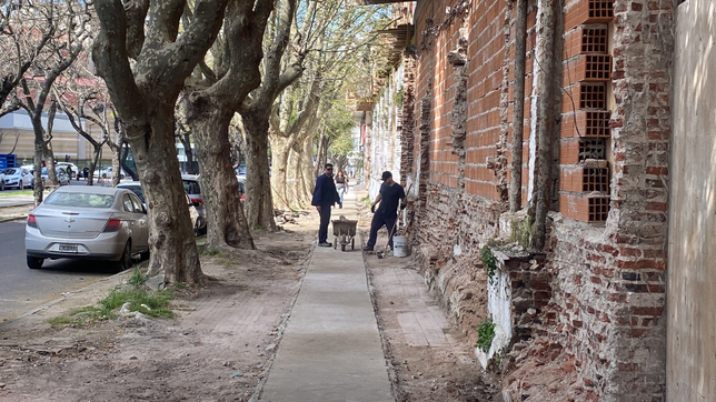 comenzaron a arreglar la peor vereda de la plata y las redes estallaron