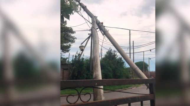 un camion arranco el tendido electrico y dejo sin luz a un barrio de la plata