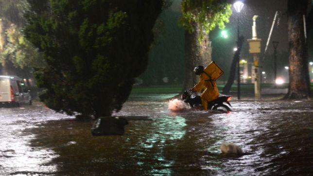 experiencias y conocimientos sobre la inundacion de la plata con una muestra de la unlp
