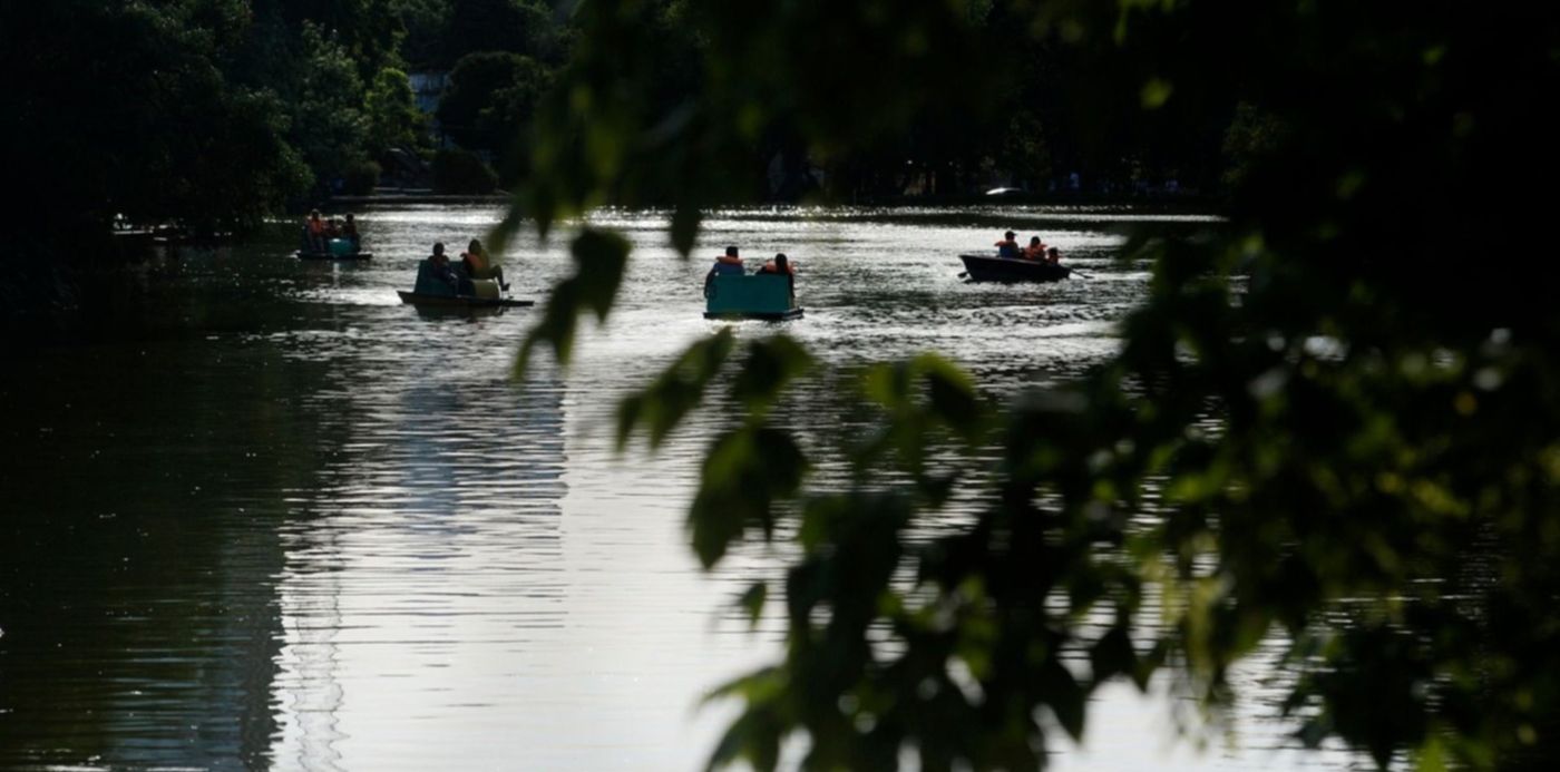 1540247880470.jpg?scaleY=1&oh=984&y=192&height=744&rotate=0&ow=1500&x=6&width=1489&scaleX=1&&cw=1920&ch=950