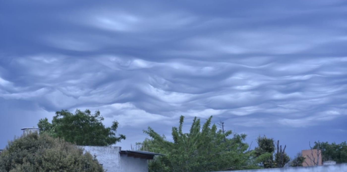 1572128858656.jpeg?height=634&rotate=0&scaleX=1&scaleY=1&ow=1280&oh=853&x=6&y=219&width=1269&&cw=1920&ch=950