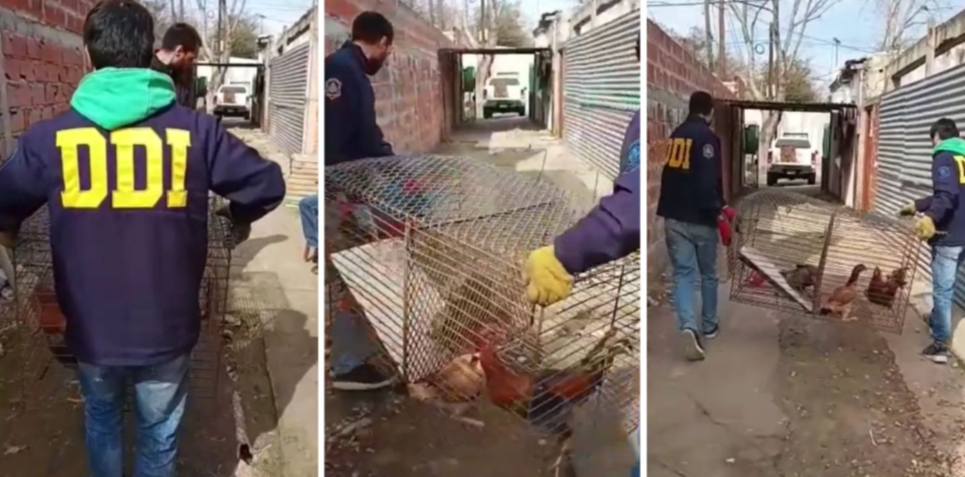 1661174765186.jpg?x=8&y=0&width=1484&height=742&rotate=0&scaleX=1&scaleY=1&ow=1500&oh=742&&cw=1920&ch=950