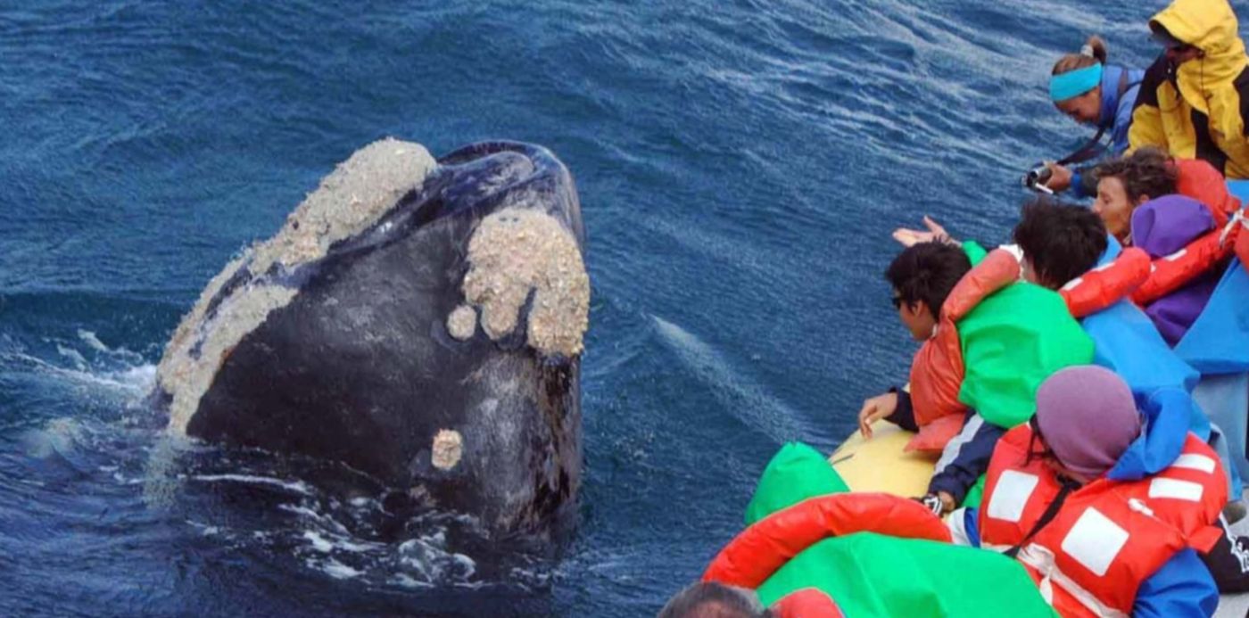 Turismo Vacaciones Previaje Puerto Madryn