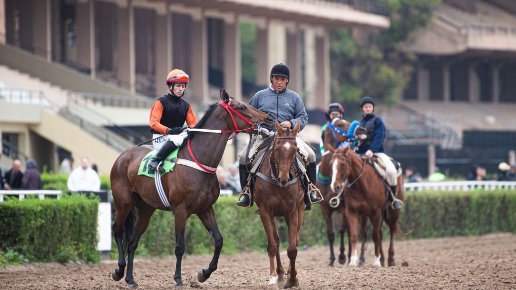 Sigue el conflicto en el Hipódromo de La Plata y tampoco habrá carrera el fin de semana