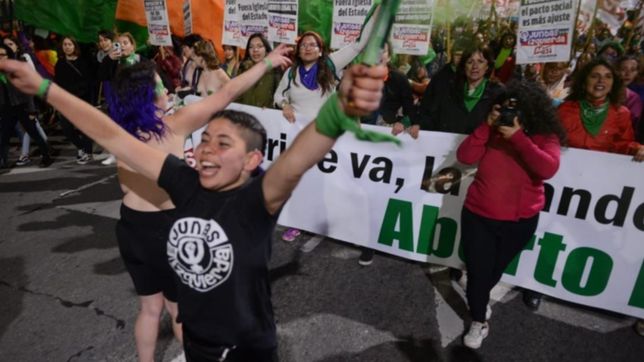videos: asi fue la manifestacion feminista frente a la catedral de la plata